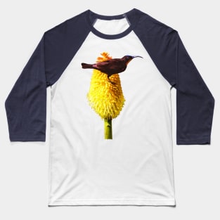 Amethyst Sunbird on Flowering Red Hot Poker Baseball T-Shirt